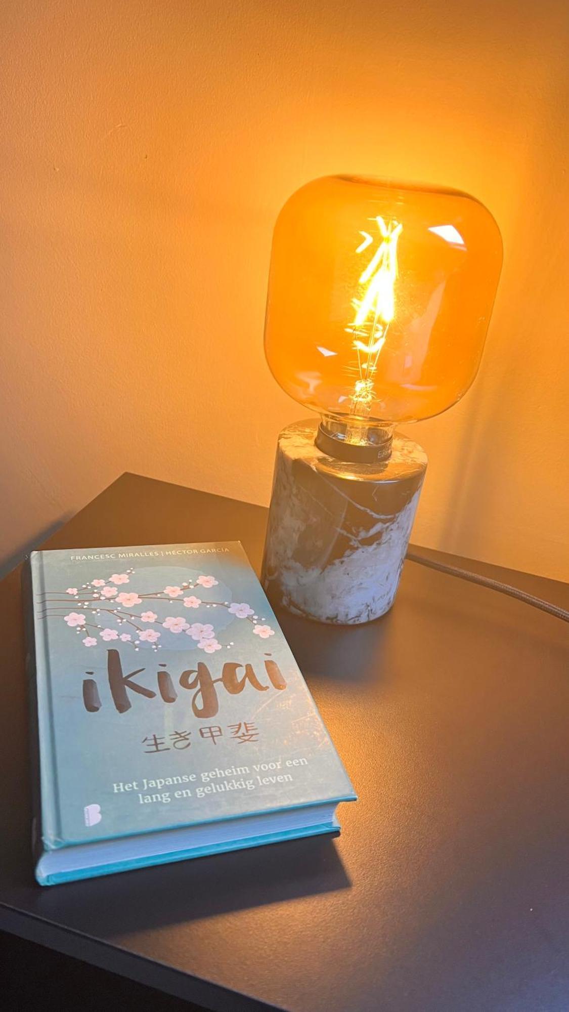 Ikigai Bed & Breakfast Oud-Turnhout Phòng bức ảnh