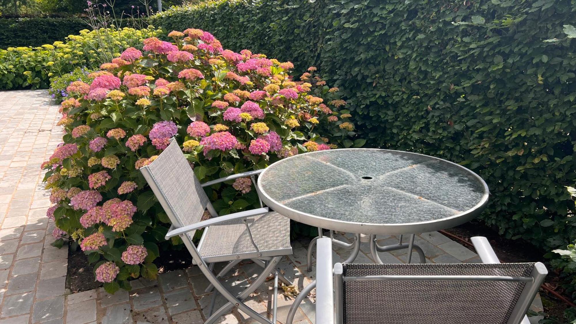 Ikigai Bed & Breakfast Oud-Turnhout Ngoại thất bức ảnh